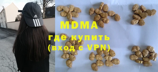 шишки Богородицк