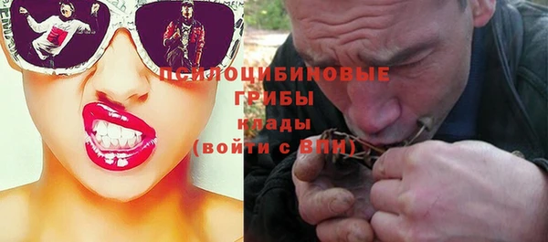 шишки Богородицк