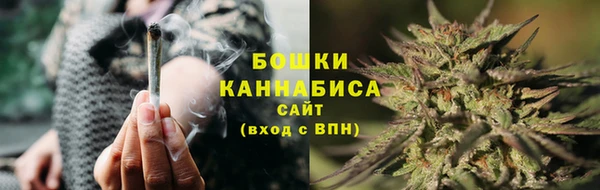 стафф Богданович
