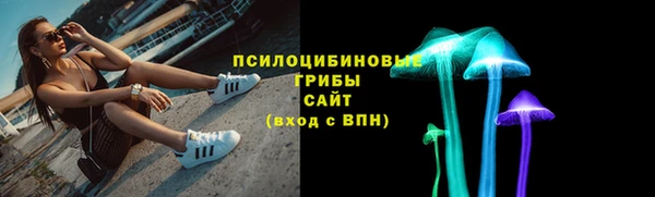 стафф Богданович