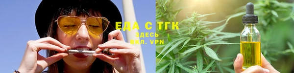 шишки Богородицк