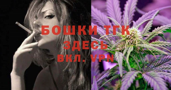 шишки Богородицк
