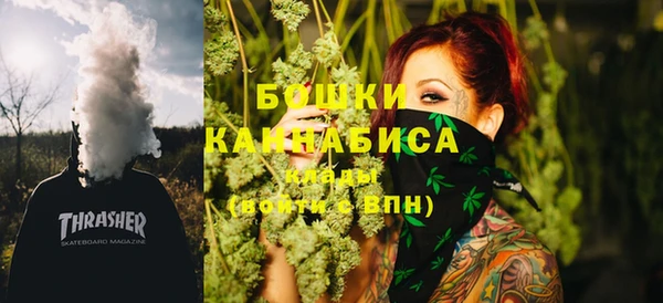 шишки Богородицк