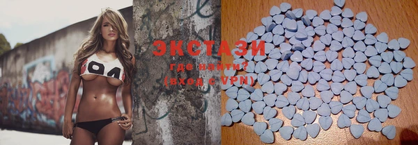 шишки Сосновый Бор