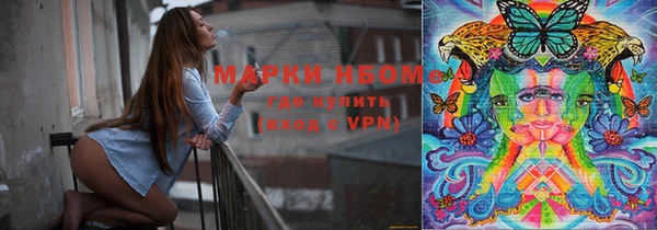 шишки Богородицк