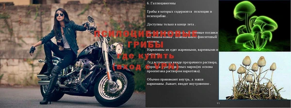 шишки Богородицк