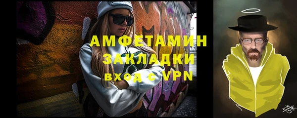 шишки Богородицк