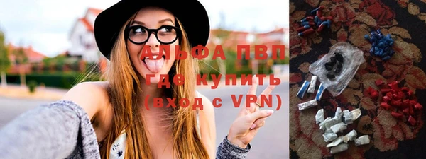 шишки Богородицк