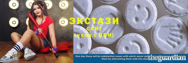 шишки Богородицк